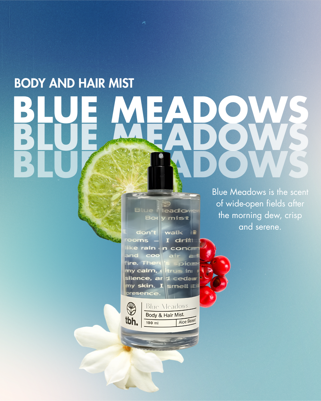 Blue Meadows