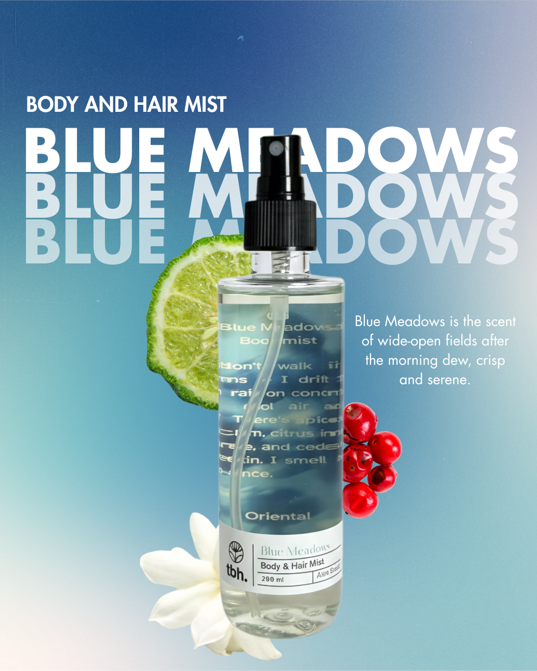 Blue Meadows